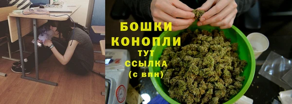 шишки Няндома