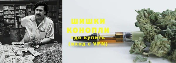шишки Няндома