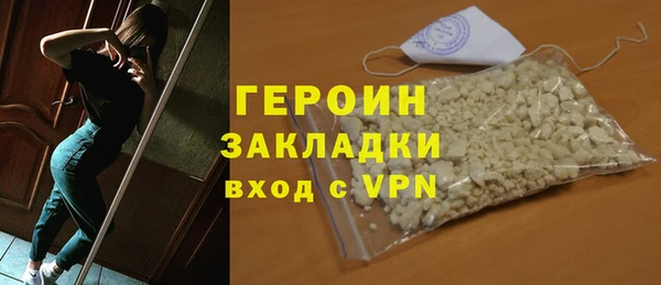 шишки Няндома