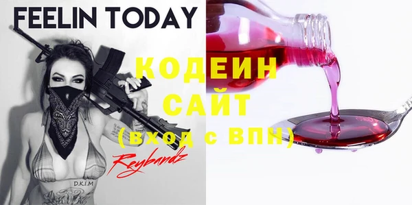 шишки Няндома