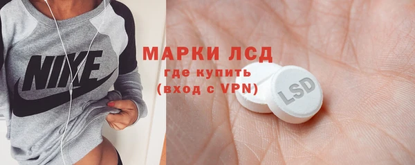 шишки Няндома