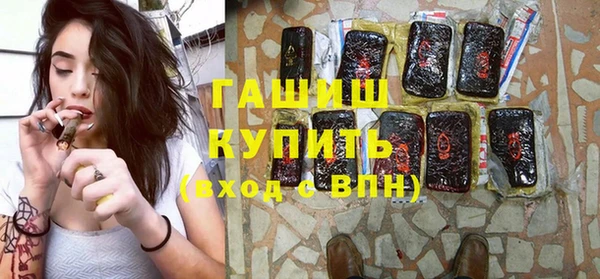 шишки Няндома