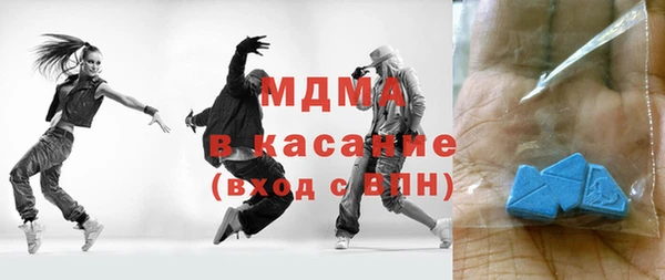 шишки Няндома