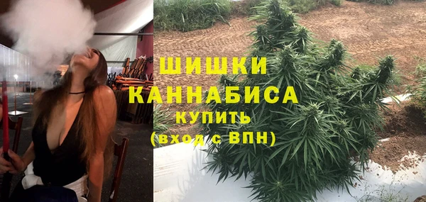 шишки Няндома