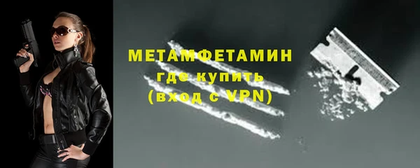 шишки Няндома