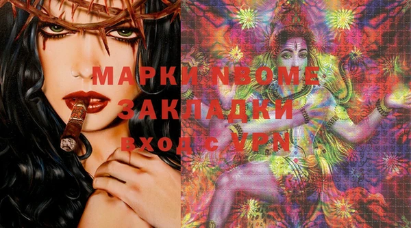 шишки Няндома