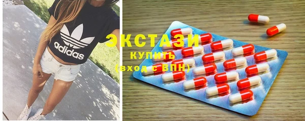 шишки Няндома