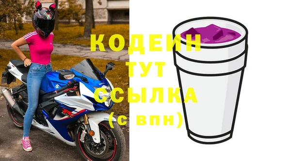 шишки Няндома