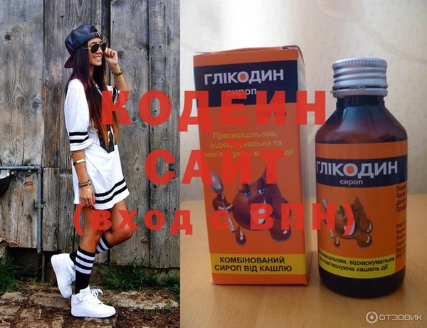 шишки Няндома