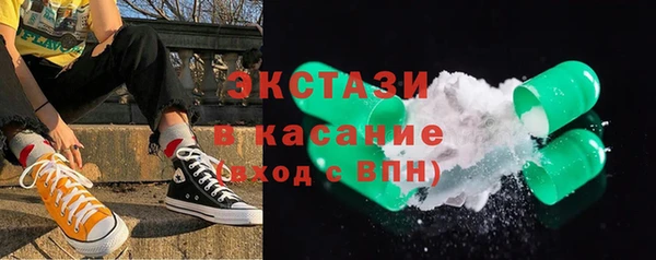 шишки Няндома