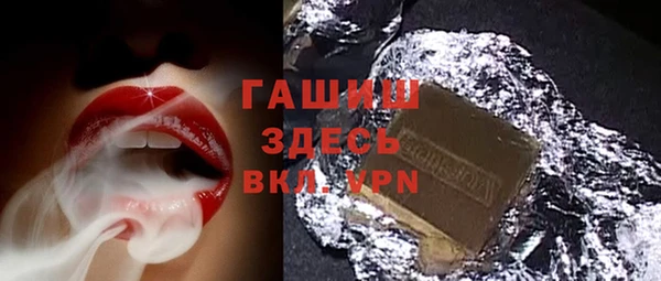 шишки Няндома
