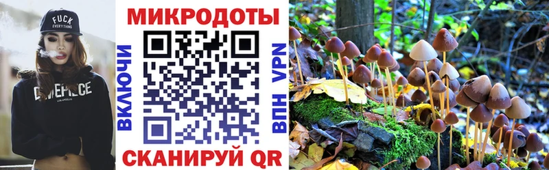 Галлюциногенные грибы Psilocybine cubensis  Остров 