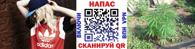 Бошки Шишки ГИДРОПОН  купить наркотик  Остров 